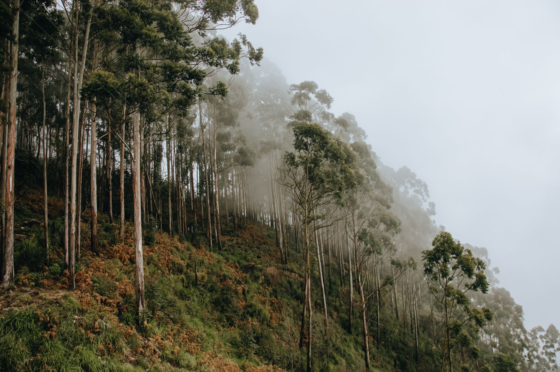 Rodeado de Naturaleza