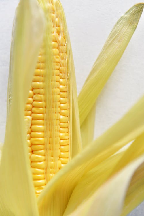Kostenloses Stock Foto zu essen, frisch, gelber mais