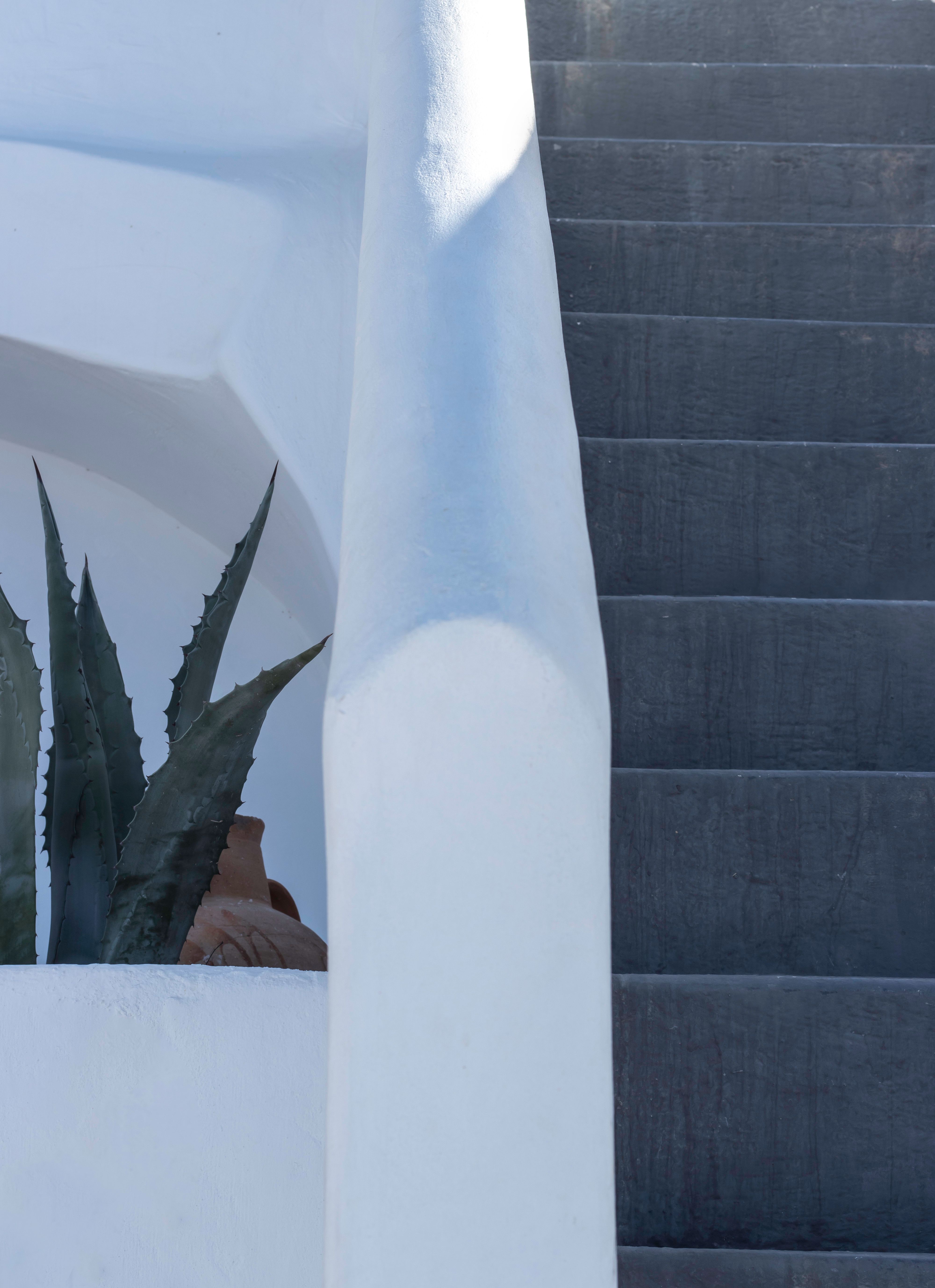 白色户外环境中，现代建筑楼梯旁种植着绿色龙舌兰植物