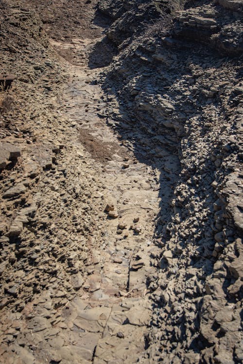 Soil on a Dried Creek