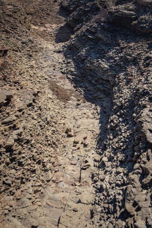 Free High angle view of a dry, cracked earth surface resembling a creek in wasteland. Stock Photo