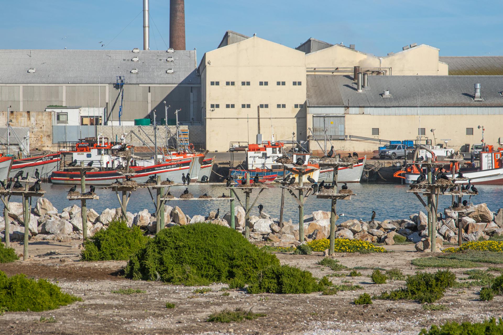 A serene view of fishing boats at Lambert's Bay harbor in South Africa's Western Cape.