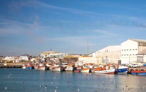 Free A serene view of fishing boats docked at Lambert's Bay harbor under a clear blue sky. Stock Photo