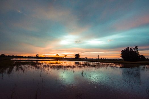 Beautiful sunset reflecting over calm rural wetlands with silhouettes of trees.
