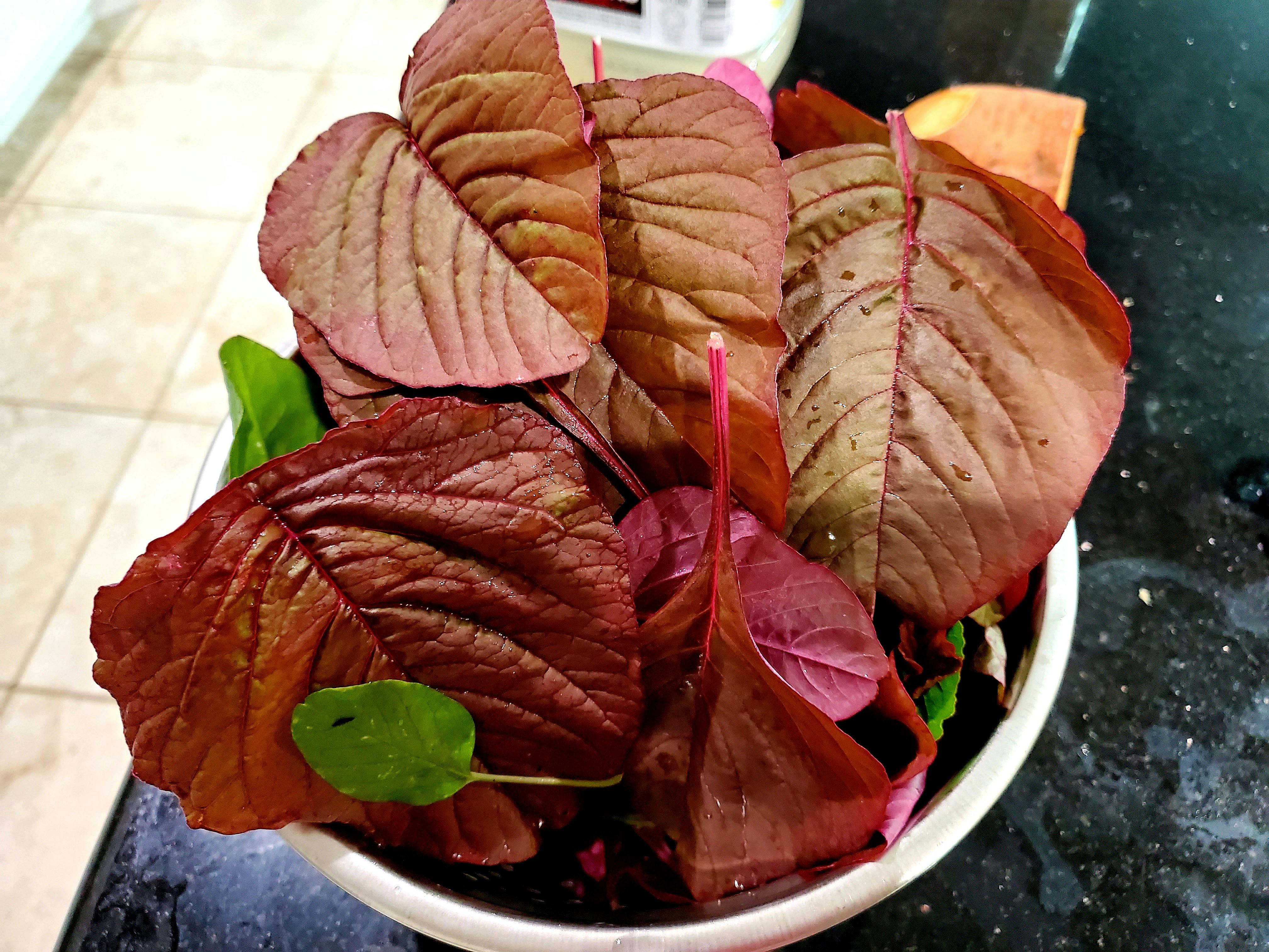 Is it easy to dislodge blood clot after tooth extraction? Hosh Yoga