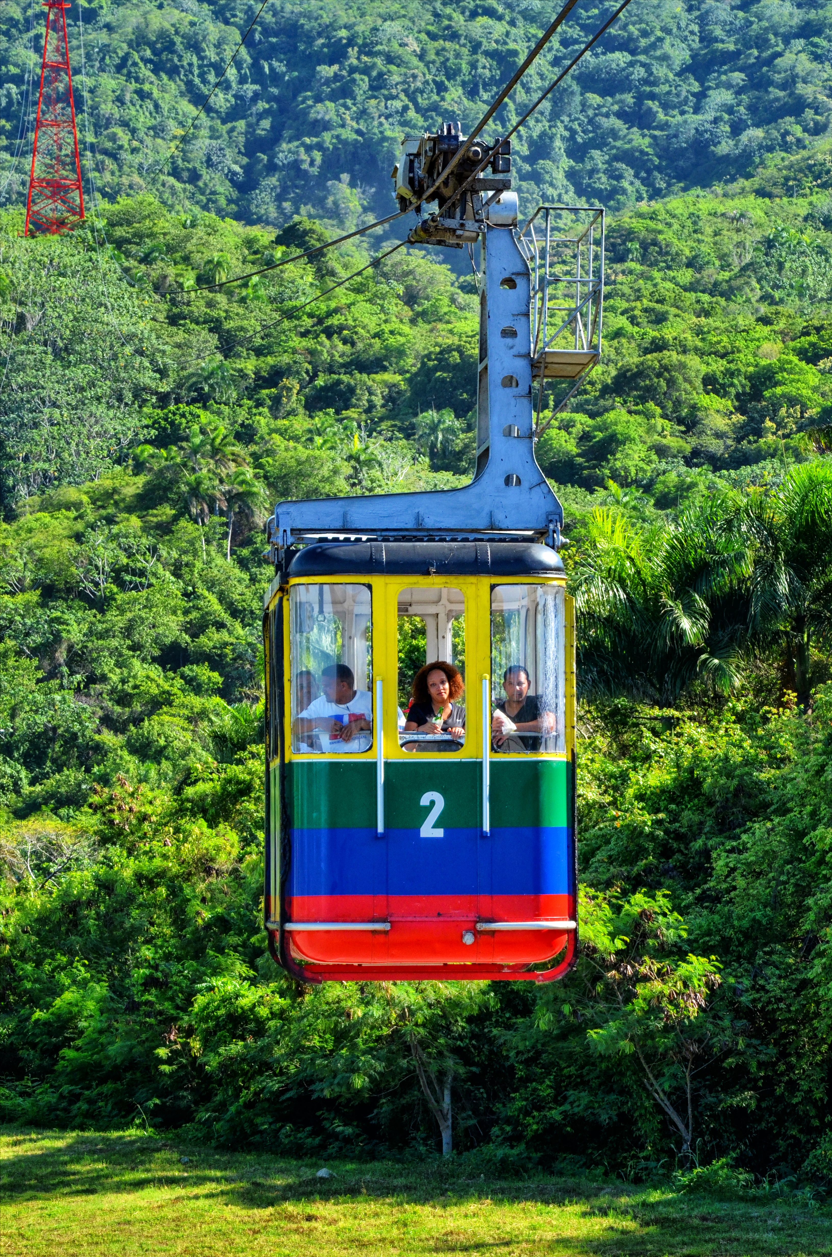 People Riding a Cable Car Near Trees · Free Stock Photo