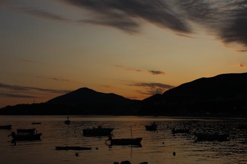 Silhouette of Boats on Body of Water 