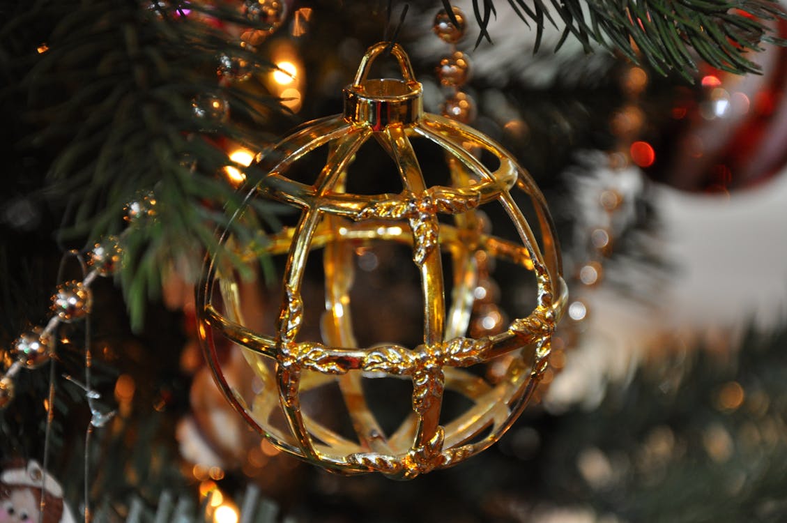 Free Gold Cage Bauble Hanged on Green Christmas Ornament Stock Photo