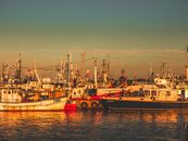 Ships Moored at Sunset