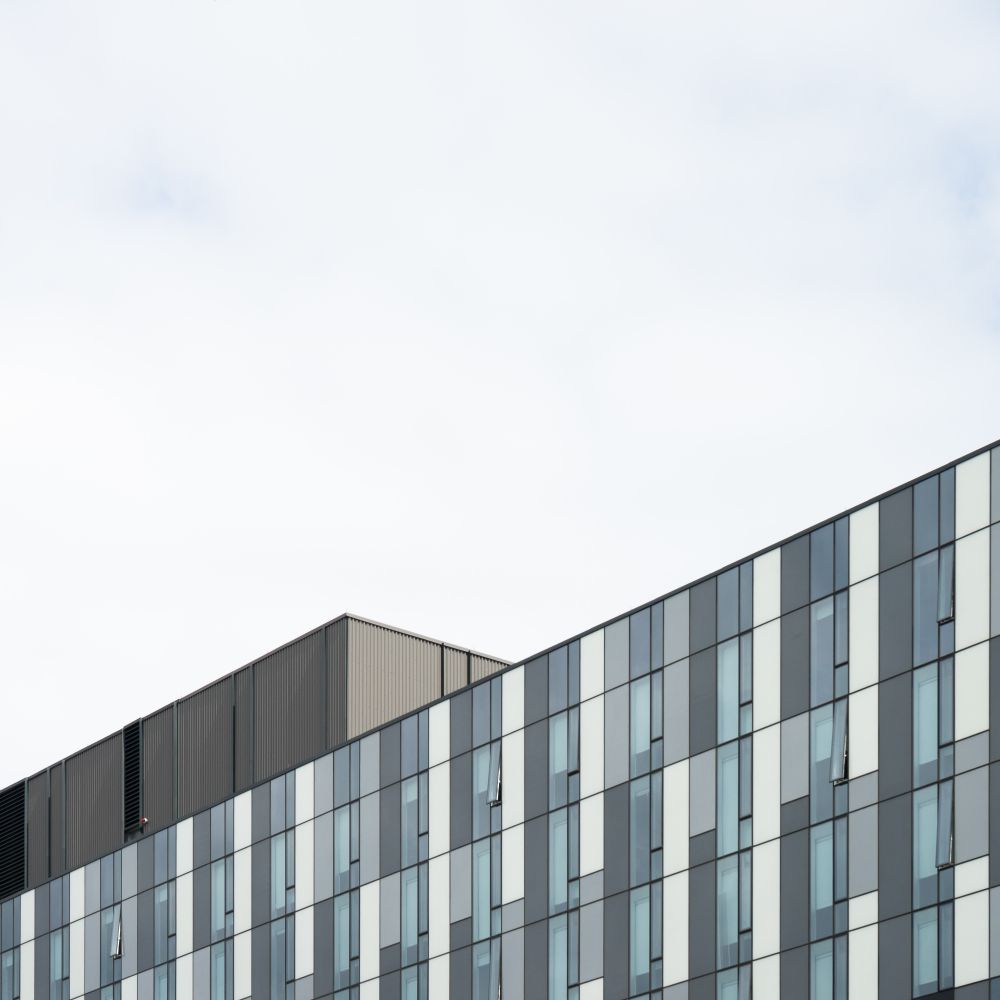 Essendon — student move with boxes and a van