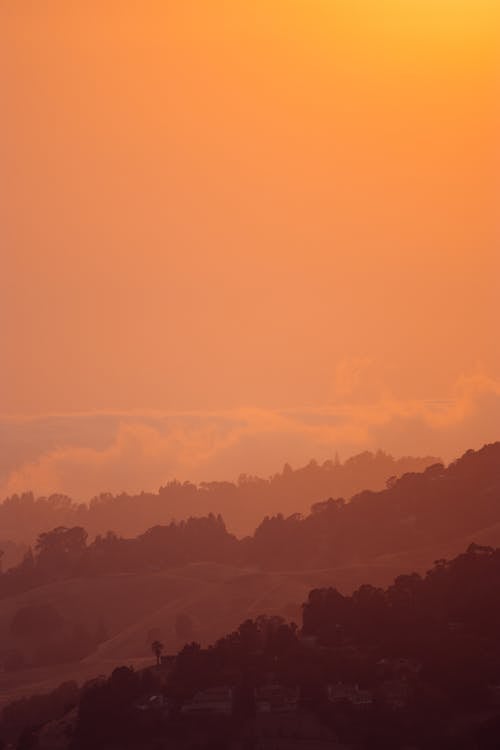 Lush dark green forest on mountain slopes under highlighted clouds and vivid orange sky at dawn