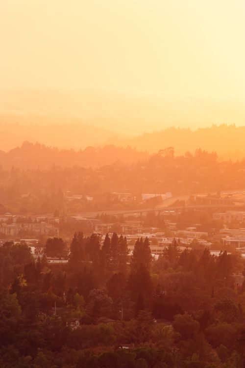 Free Light orange cloudless sky over settlement surrounded by lush dark green woodland at sunset Stock Photo