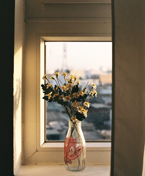 무료 꽃, 데이지, 수직 쐈어의 무료 스톡 사진