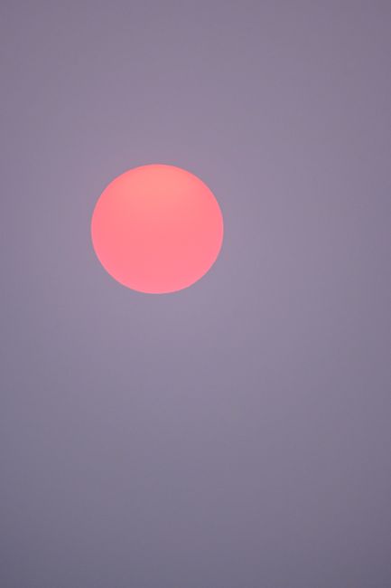 Bright orange sun shining on sundown sky with pink color in evening time in nature during dusk in countryside outside