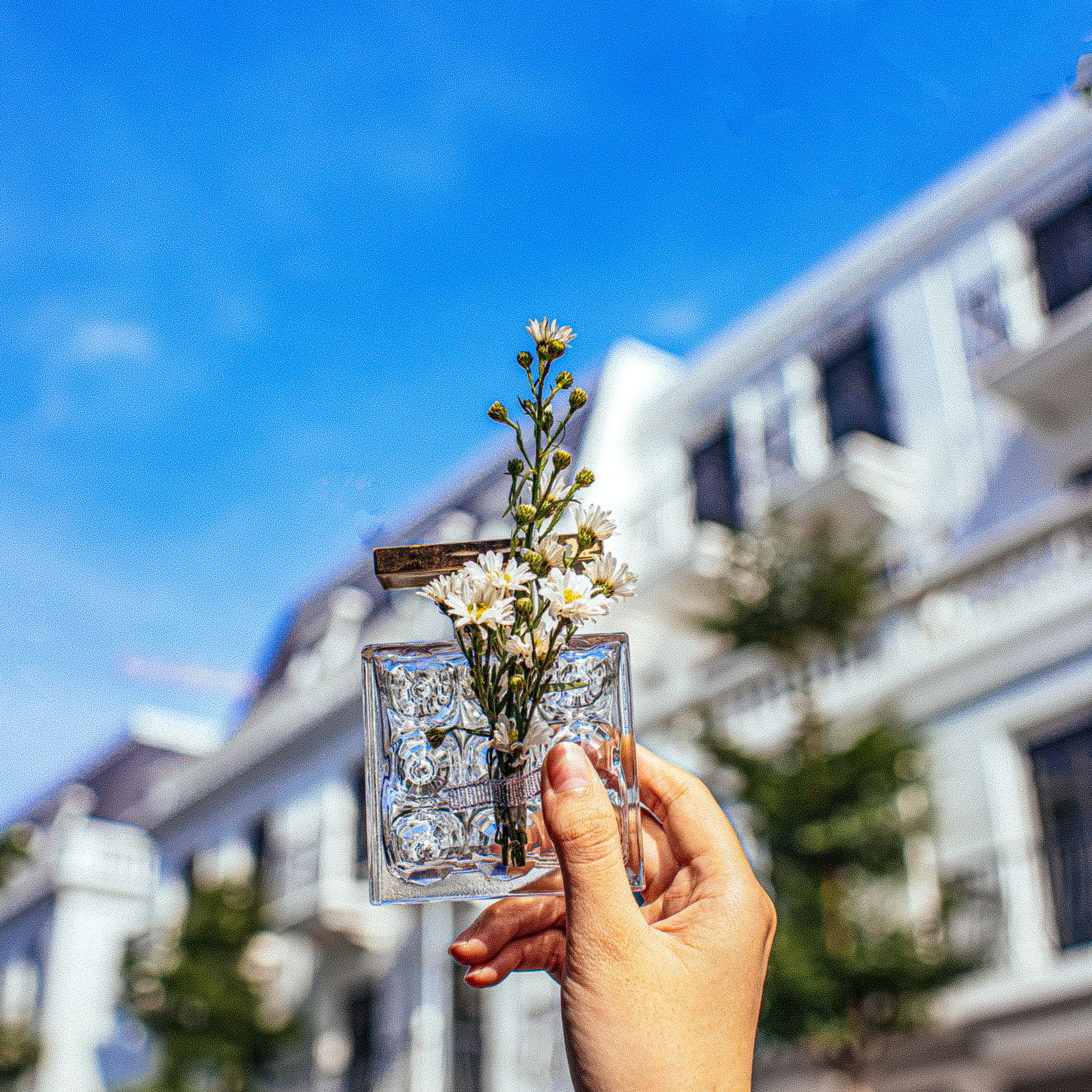 Hand Holding Glass Bottle with Flowers