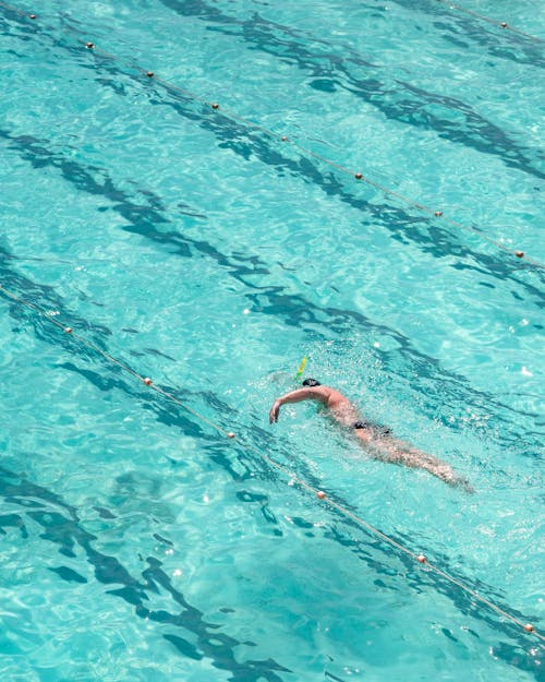 From above full length male swimmer in trunks swimming front crawl in big swimming pool
