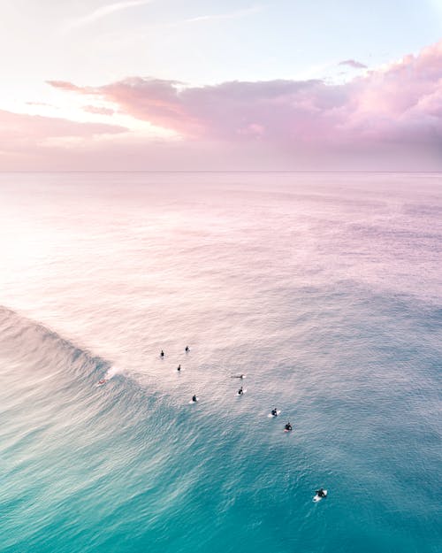 Aerial Photography of People Surfing on Sea
