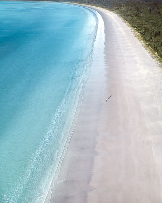 Drone view of sandy shore between rippled sea and greenery trees in daylight