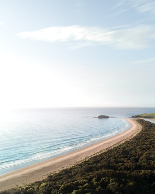 From above of lush green trees on beach near wavy sea with horizon line under cloudy sky