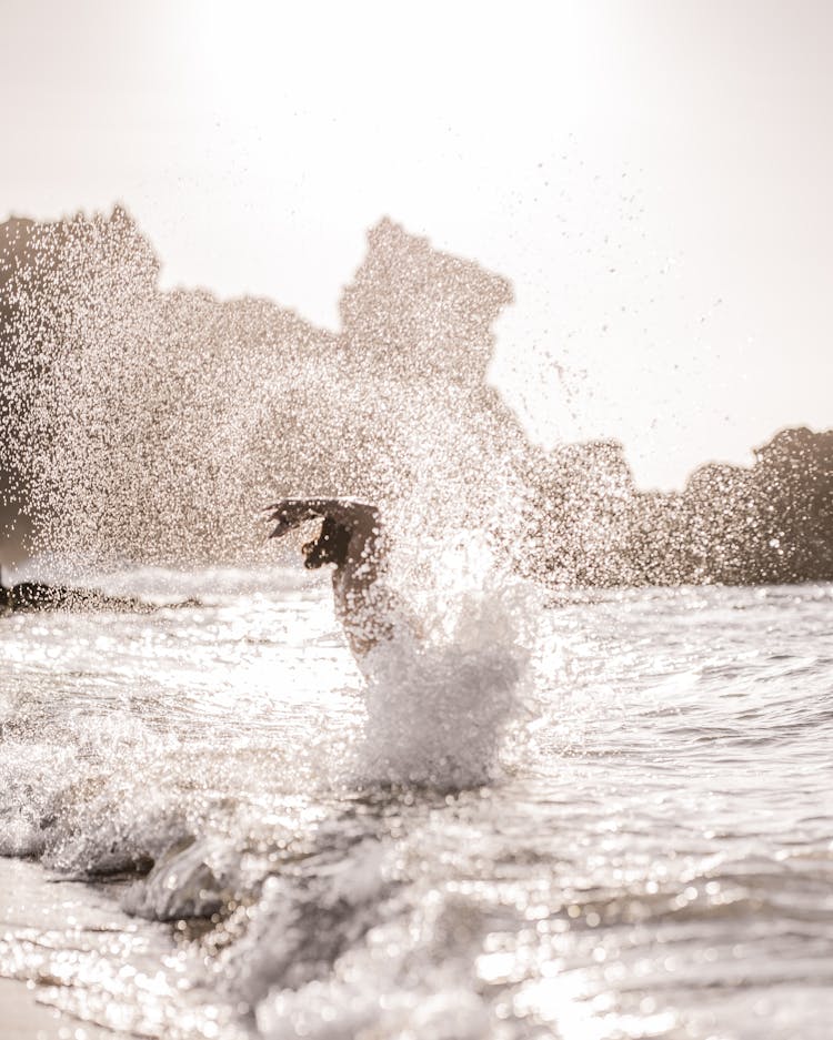 Person Splashing Water In Sea