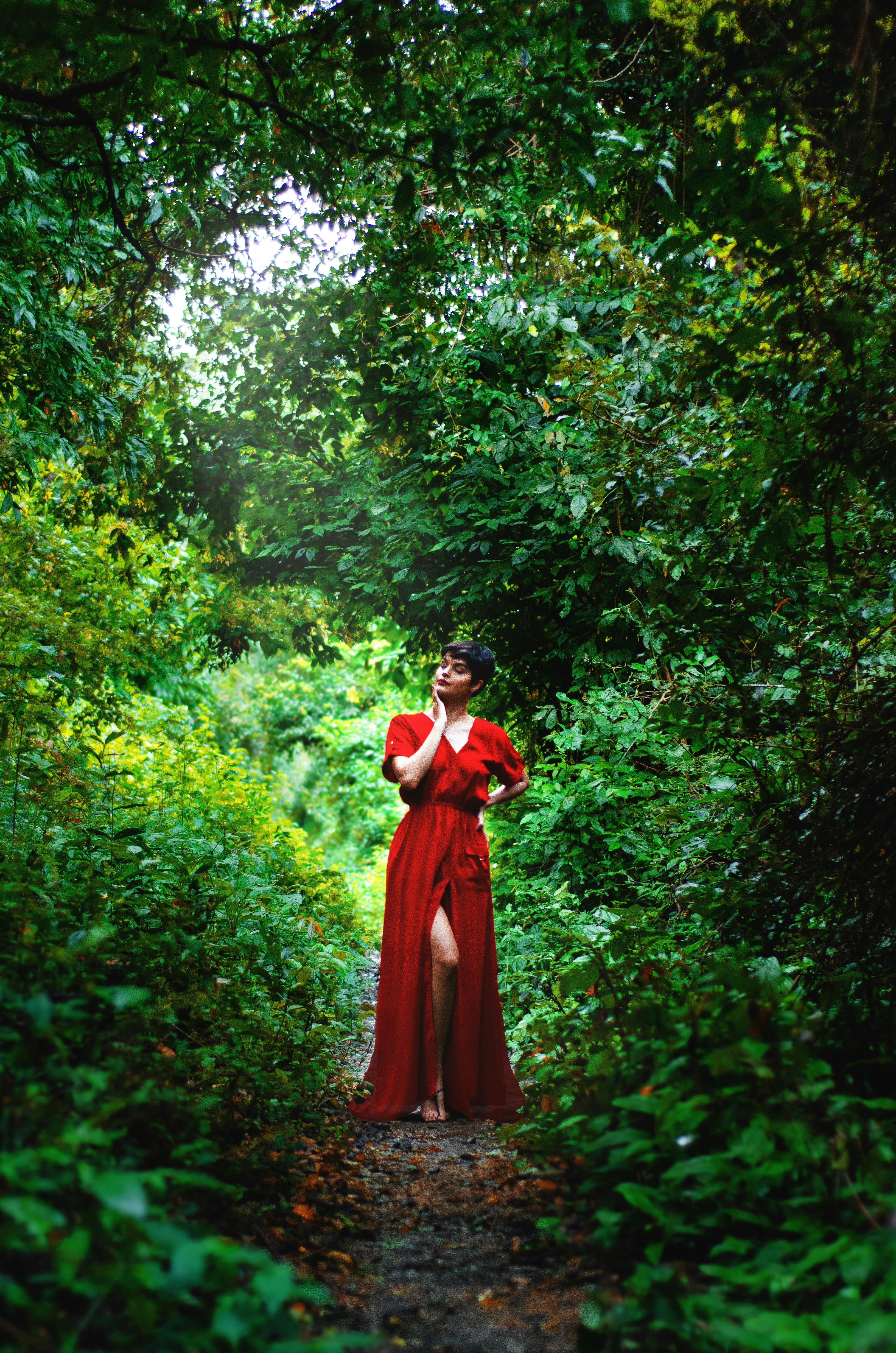 A Woman Wearing a Red Dress in the Forest · Free Stock Photo