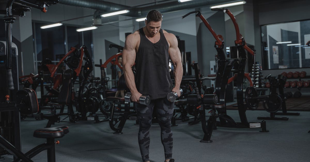 Strong Man Lifting Weights In A Gym
