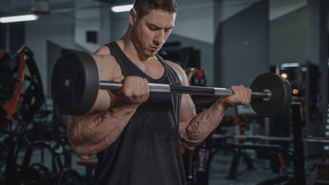 Arnold's Training Principles Translated for Modern Home Gyms