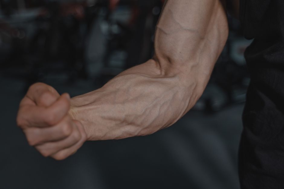 forearm roller machine
