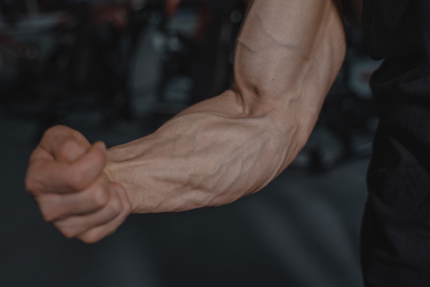 Forearm Photos, Download The BEST Free Forearm Stock Photos & HD Images