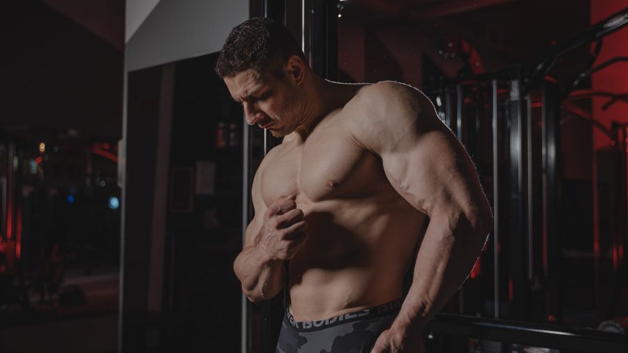 Losing Fat and Gaining Muscle — the Phase Approach Explained