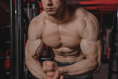 Základová fotografie zdarma na téma bez trička, biceps, fitness modelka