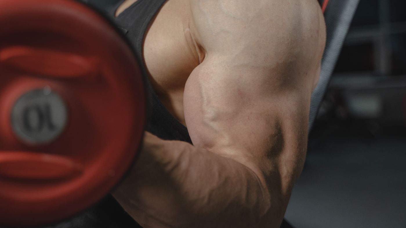 Ten Superfoods That Actually Helped Me Build Muscle