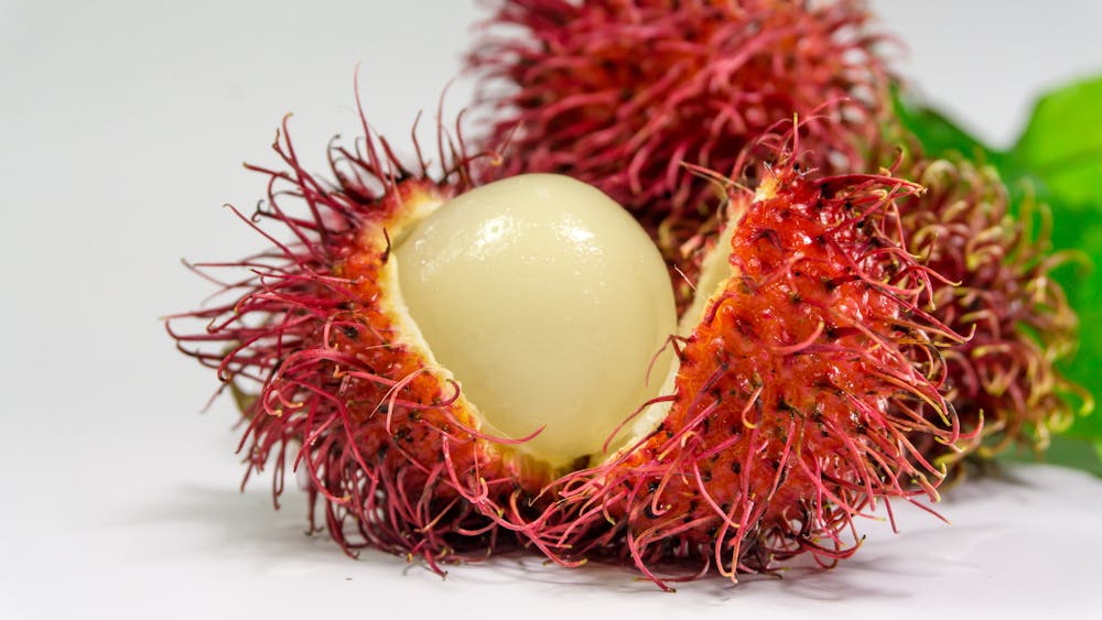 Rambutan Fruit Tree | Amazing Exotic Fruits You Didn't Know But Should