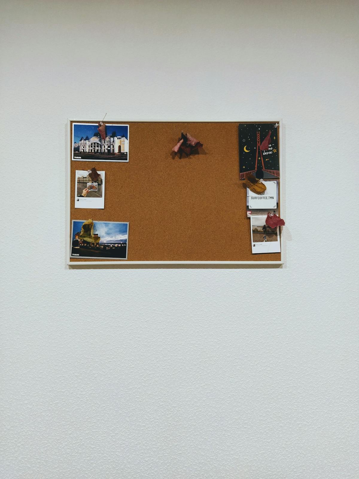 Fundación Armenia - entorno natural