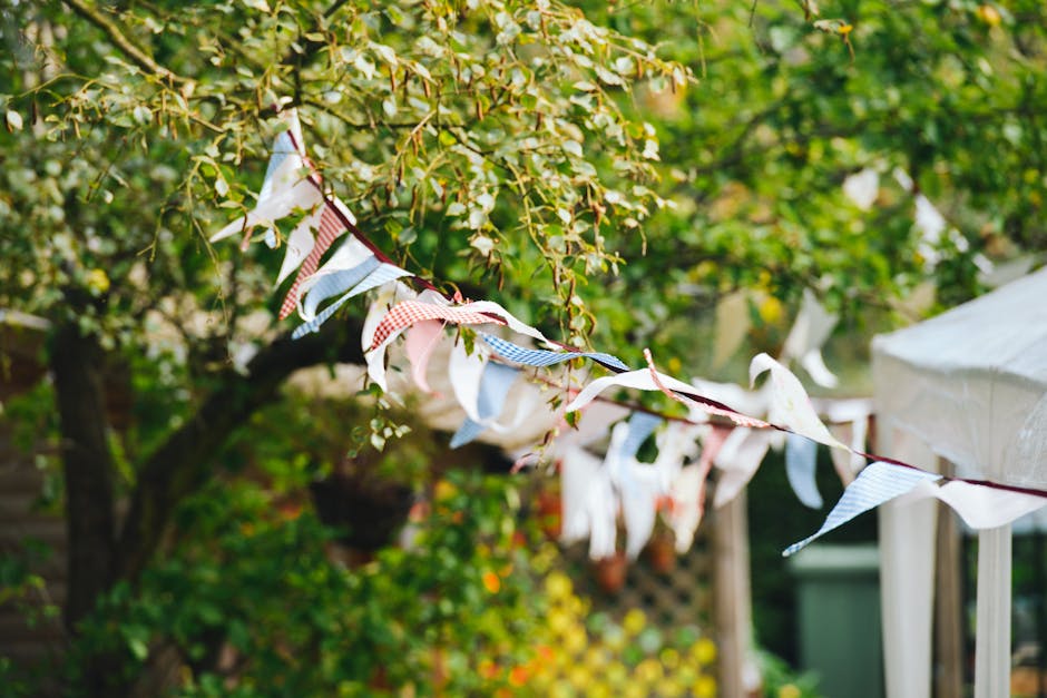 https://images.pexels.com/photos/5328/festival-flags-garden-party.jpg?w=940&h=650&auto=compress&cs=tinysrgb