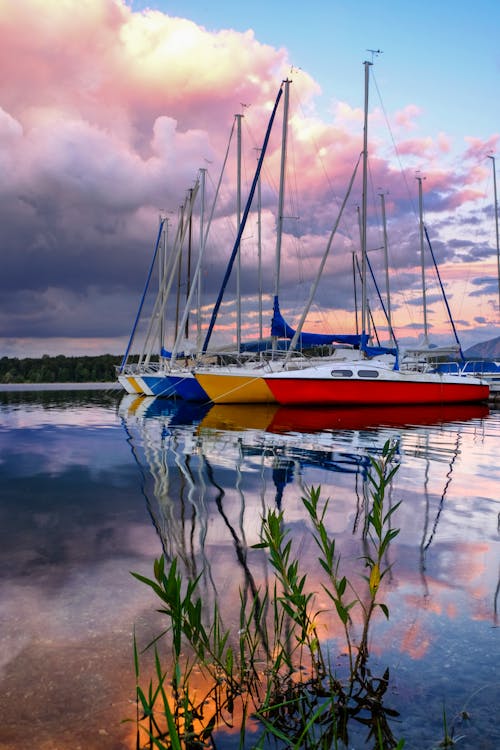 Colorful Sailboats in the Harbor