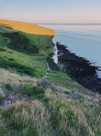 Green headland meeting a pebble shoreline, photo by Lina Kivaka on Pexels