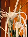 Bunch of exotic green tinge spiderlily flower placed in vase against blurred background