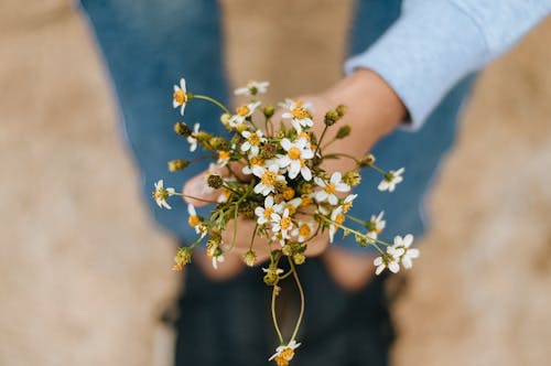 Hand Holding a Bunch of Small Flowers