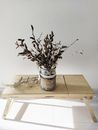 Catkins in a Jar Standing on a Wooden Tray 
