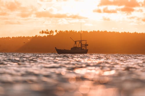 Foto d'estoc gratuïta de alba, barca de pesca, cos d'aigua