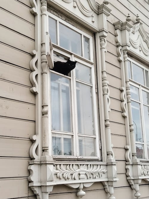 Free Black Cat Peeking Through a Window in a Tenement House  Stock Photo