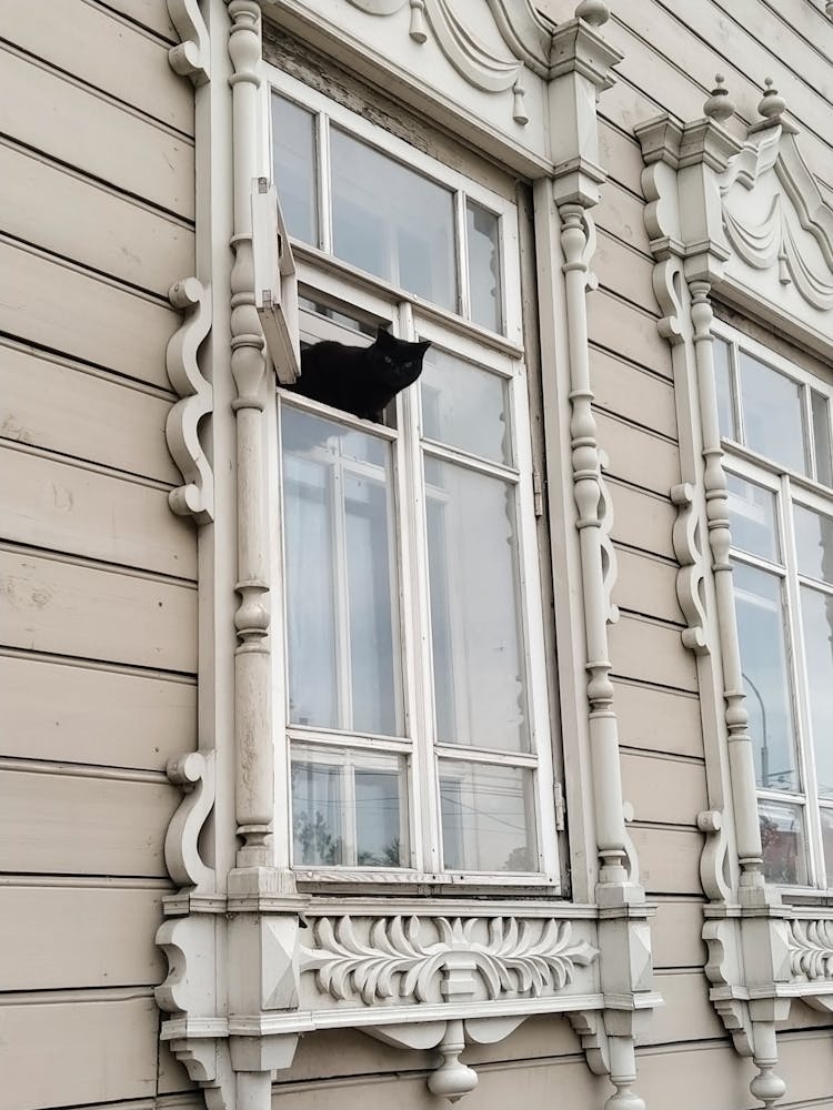 Black Cat Peeking Through A Window In A Tenement House 