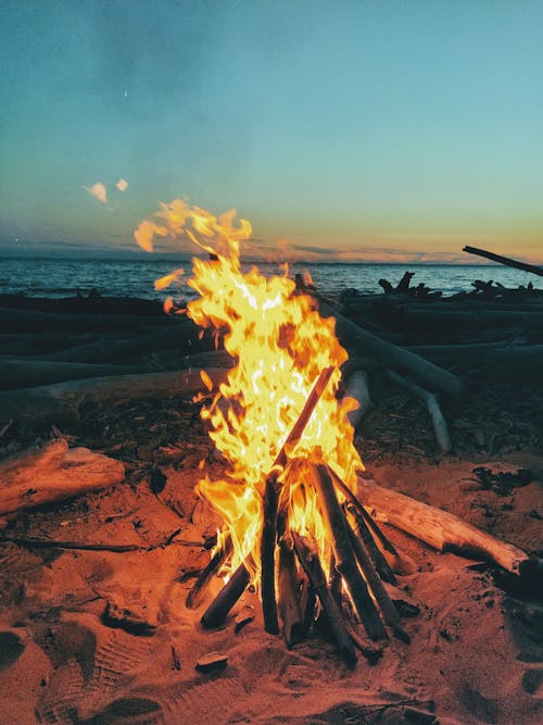 Bonfire on Brown Sand Near the Ocean