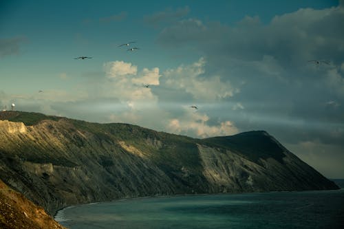 Ridge against ocean under birds flying in cloudy sky