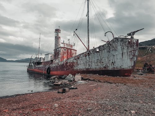 Photos gratuites de abandonné, amarré, baleinier pétrel