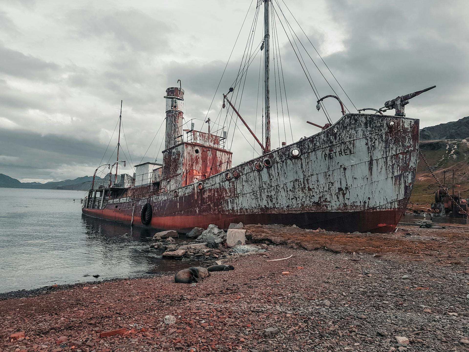A rusty, abandoned whaling ship rests on a rocky shoreline, telling tales of the past.