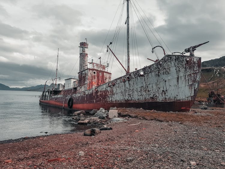 The Shipwreck Of The Petrel Whaling Ship