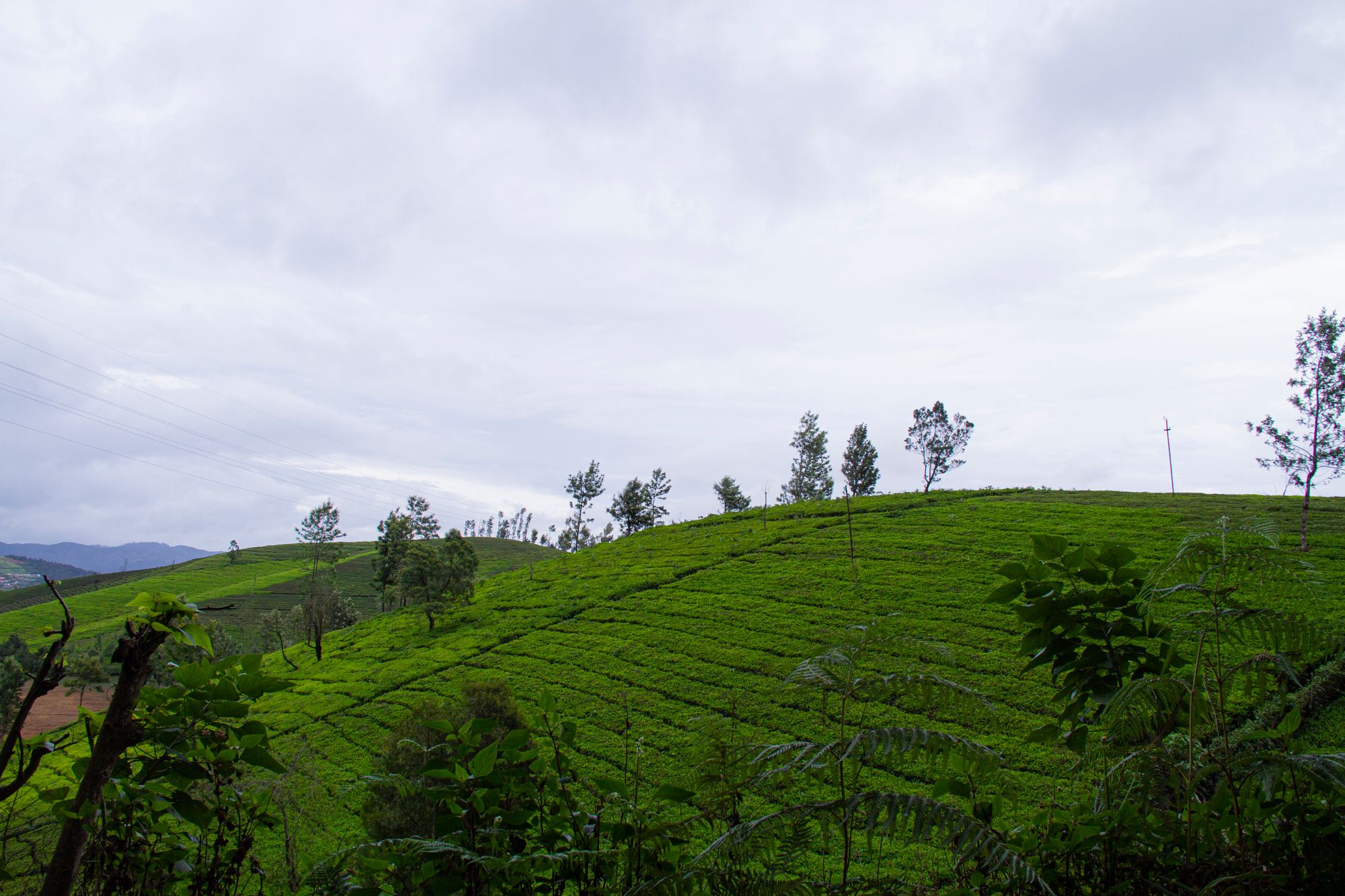 South India Tour Packages Gallery 1