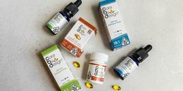 High-quality CBD products in bottles and boxes on a neutral background, ideal for wellness concepts.